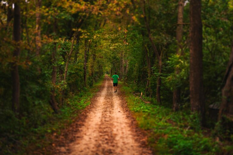 path, trees, leaves, man, trail, nature, fall, autumn, runner, running, woods, forest, fall season, october, outdoor, activity